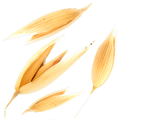 Овсяная коллоидная мука