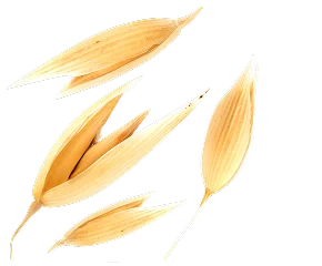 Овсяная мука